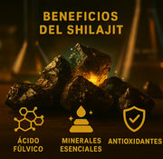 SHILAJIT ORIGINAL HIMALAYA