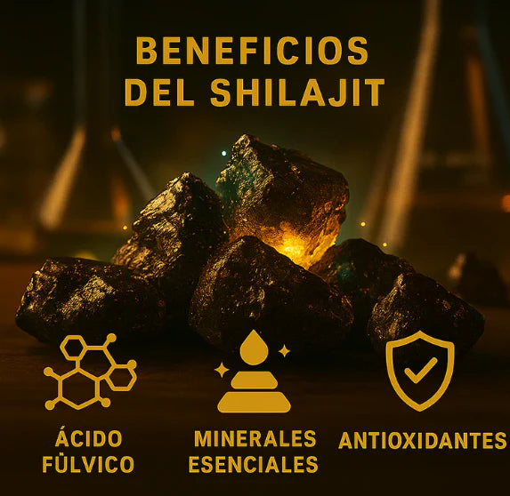 SHILAJIT ORIGINAL HIMALAYA