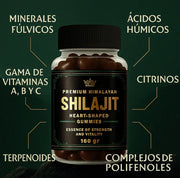 SHILAJIT ORIGINAL HIMALAYA